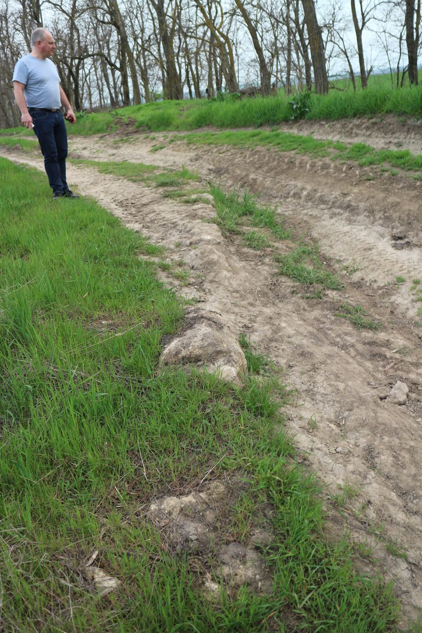 Semibradnee. U. Schlotzhauer vor der im Feldweg aufgeschlossenen inneren Schale der ehemaligen Stadtmauer.