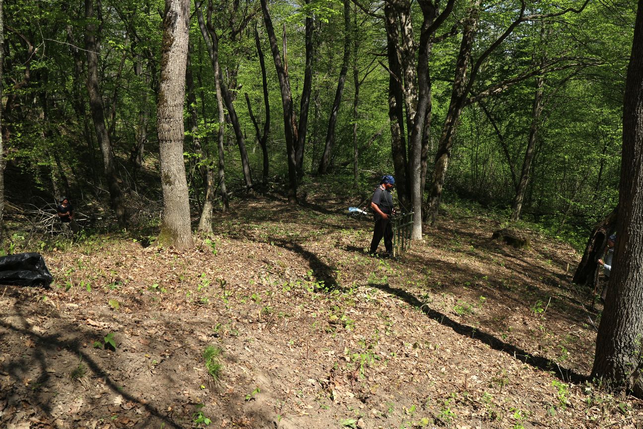 Novosvobodnaya. C. Mischka bei der Prospektion im Wald.