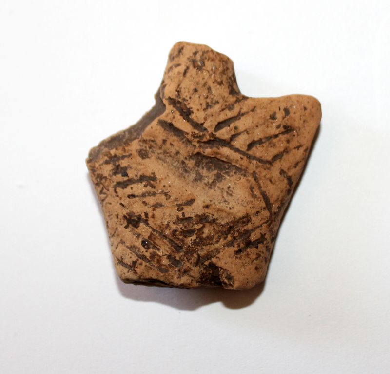 Petricani: Fragment einer Figurine aus der Cucuteni A-Stufe. Oberflächenfund aus dem Areal eines der Hausbefunde.