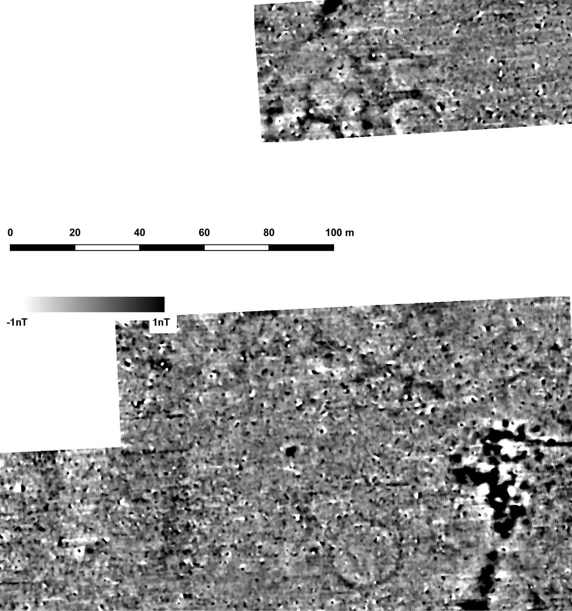 Donaualtheim: Ausschnitt aus dem Magnetogramm mit eisenzeitlichen Grabhügeln.