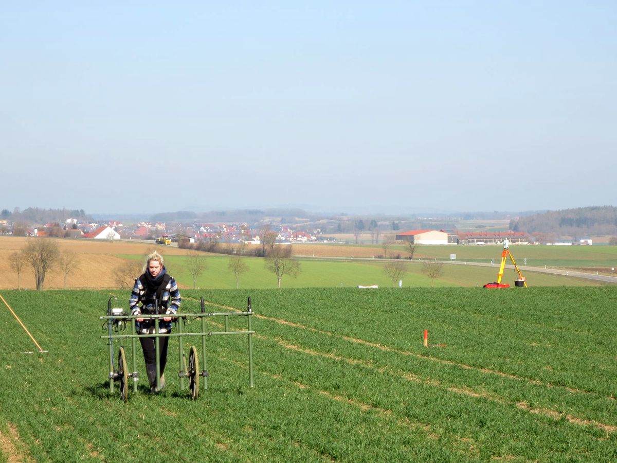 Zur Seite: Gradiometerprospektion einer linearbandkeramischen Siedlung bei Wallerstein, Landkreis Donau-Ries in Schwaben