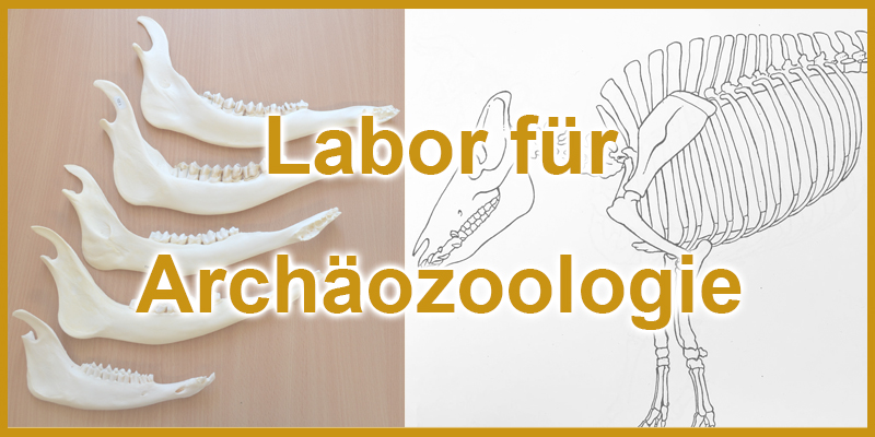 Zur Seite: Archäozoologisches Labor