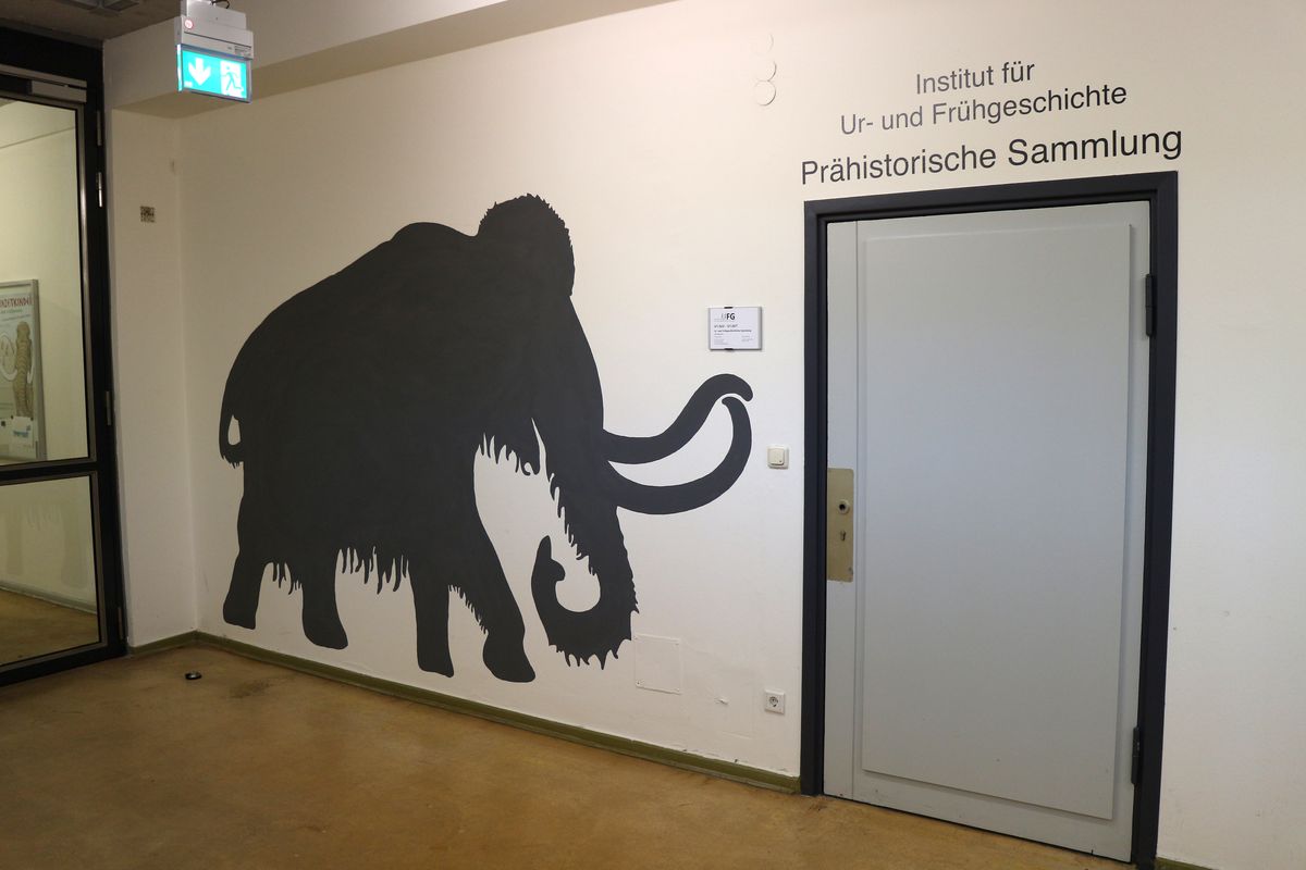 Das Mammut weist den Weg in die Sammlung der UFG.