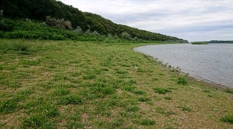 Zahlreiche Funde an der Oberfläche belegen die römische Nutzung des Geländes. Die Magnetik blieb aber ohne zählbares Ergebnis. Das nächste Mal dann mit Radar!