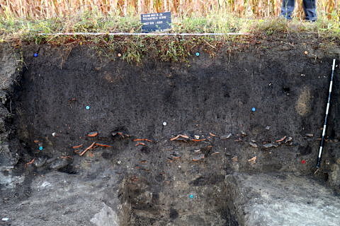 Man sieht, dass man nichts sieht: Nur die Funde zeigen im Profil eine Grube unterhalb des Scherbenpflasters an.