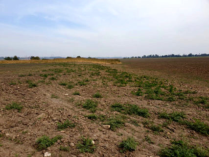 Semibratnee: Gut zu erkennen: Ehemalige Stadtmauer, Graben und Außenbereich der Stadt (von links).