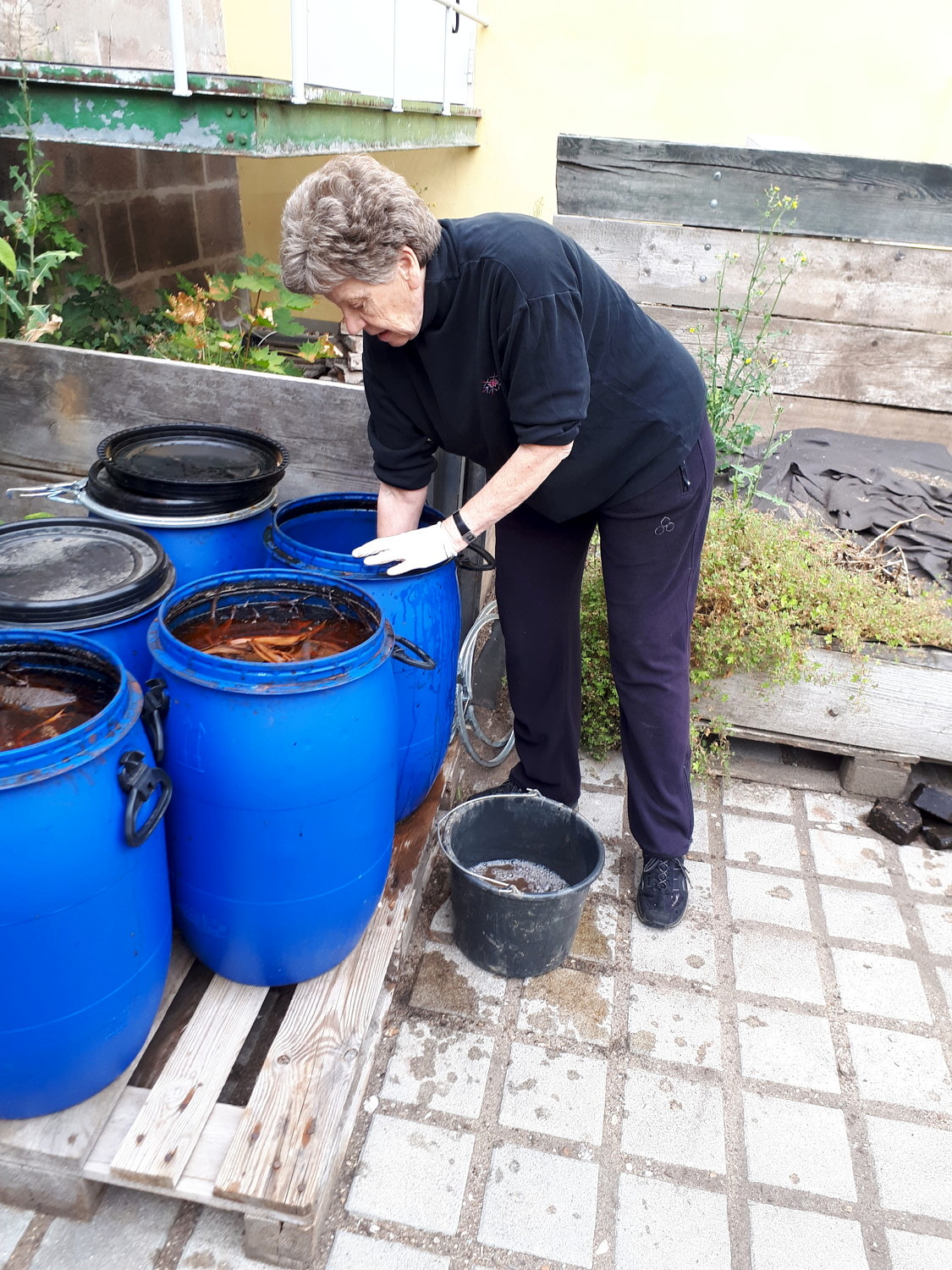 Die gerottete Rinde wird aus den Fässern geholt und in Wannen zum Auswaschen gepackt (im Foto: I. Hohenester).