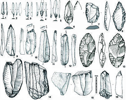 Spätpaläolitische Werkzeuge aus dem Oman. 1 und 2 Fasad Spitzen von TH.200 und al-Hatab; 3, 6 und 9 retuschierte Spitzen aus al-Hatab und TH.200; 4 und 5 Wa’shah-Spitzen von TH.267; 7 Schaber von TH.262; 8 Rücken Messer von SJ.51; 10 bis 12 Stichel aus TH.267; 13 Blattspitze aus al-Hatab; 14 zusammengesetzter Wa’shah-Kerne aus TH.125; 15 Wa’shah-Kerne aus al-Hatab; 16 spitzbogige Kratzer aus TH.262. Late Palaeolithic tools from Oman. 1 and 2 Fasad points from TH.200 and al-Hatab; 3, 6 and 9 partially retouched points from al-Hatab and TH.200; 4 and 5 Wa’shah points from TH.267; 7 sidescraper from TH.262; 8 pseudo-backed knife from SJ.51; 10 to 12 burins on truncation from TH.267; 13 foliate from al-Hatab; 14 refitted Wa’shah core from TH.125; 15 Wa’shah core from al-Hatab; 16 ogival endscraper from TH.262.