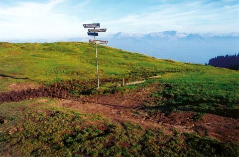 Artefaktkonzentration an einem Erosionsschaden auf einem Wanderweg (Foto: Werner Schön; Birgit Gehlen).