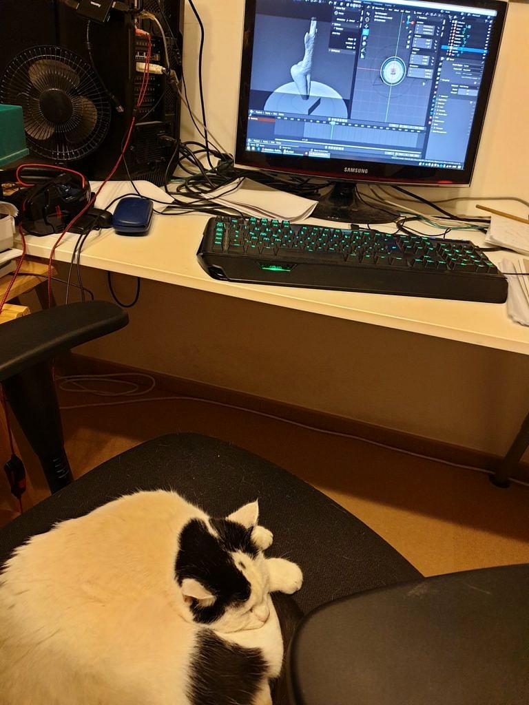 Neues in der Virtuellen Sammlung – Funde aus Rumänien „eingeräumt“