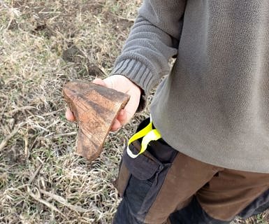Handtellergroße Fundstücke sind auf Cucuteni-Fundstellen keine Seltenheit.