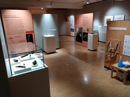 Impressionen von der THEFBO-Wanderausstellung (Foto: G. Fackler)