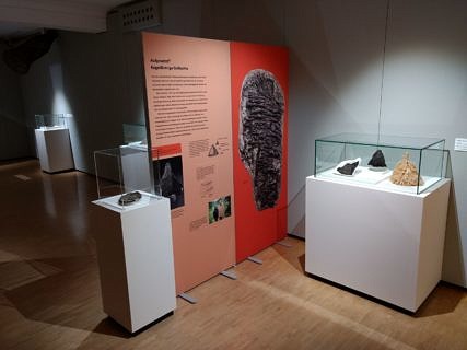 Impressionen von der THEFBO-Wanderausstellung (Foto: G. Fackler)