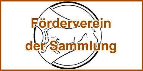 Zur Seite: Förderverein der Sammlung