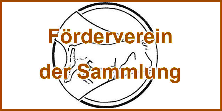 Beitragsbild für Förderverein der Sammlung