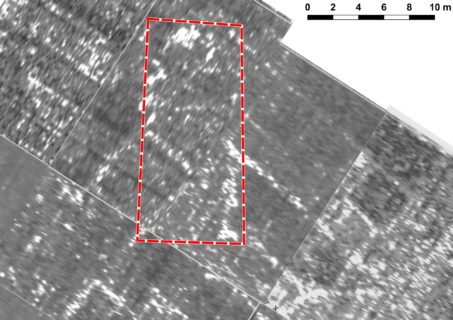 Das Radar-Bild: Die weißen Linien zeigen die antiken Mauern.. Aber nicht alle passen zur römischen Villa. Das rote Viereck zeigt den vielleicht älteren Befund.