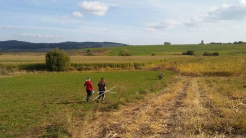 Bei schönem Wetter starten die Studierenden die Arbeit.