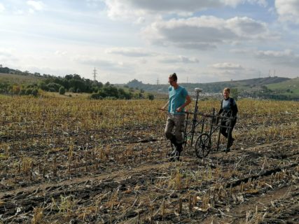 Manchmal erzwingen Maisstoppeln Zweipersonenbetrieb.