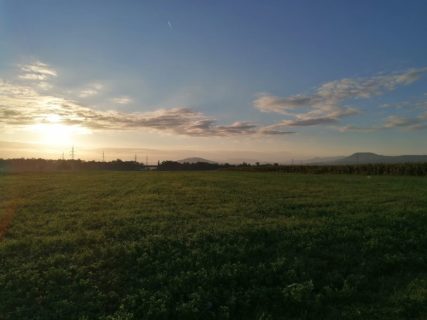 Vulkane im Hintergrund - Morgenstunden am Fundplatz Ungra 1.