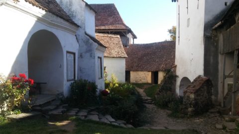 Der Innenhof der Kirchenburg von Viscri/Deutsch Weißkirch.