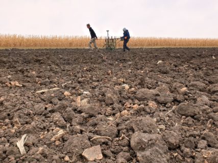 Stăuceni "Holm": Rotlehm und Keramikstücke zeigen an, wo der Pflug die 6000 Jahre alten Hausbefunde zerstört.