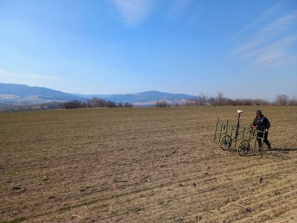 Agapia: A. Botsch BA bei bestem Frühlingswetter an der Arbeit. Ein Magnetogramm mit Hausbefunden und massive Befestigungsgräben wird der Lohn sein.