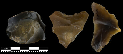 Multifunktionale Steingeräte des Lagerplatzes in Lichtenberg aus der Zeit vor 90.000 Jahren. © MPI f. evolutionäre Anthropologie / M. Weiß
