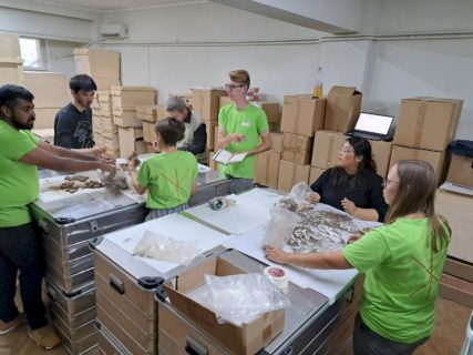 Wer die Funde macht, hat auch den Ärger: Arbeit im Fundeingang im Historischen Museum Botoşani.