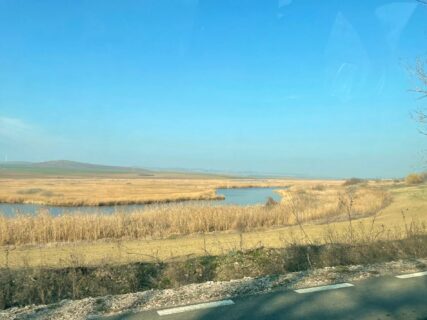 Auf der Fahrt 1: Sumpfiges Tiefland nahe der Schwarzmeerküste.