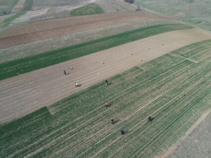 Aus der Luft betrachtet: Rasterbegehung. In den bereits begangenen Grids bleiben die Eimer mit den Funden zurück.