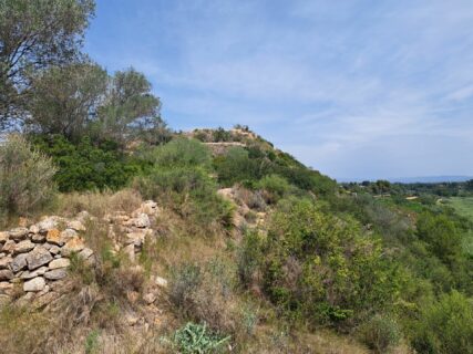 Blick auf die "Akropolis" von Valencia la "Vella".