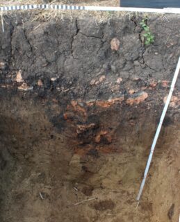 Der Wandgraben unter der Rotlehmschicht des Fußbodens im Hauptprofil der Grabung.