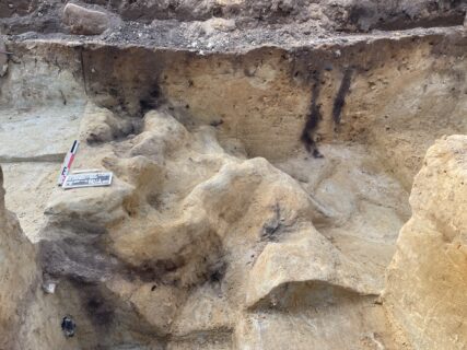 Das haben wir auch gemacht: nach geologischen Schichten graben. Hier wurde die Oberkante der durch Permafrosteinwirkung deformierten Fundschicht freigelegt.