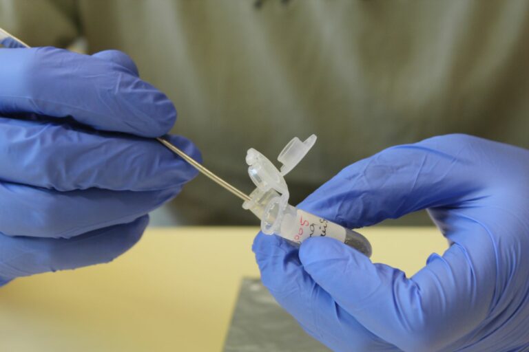 Olomouc: Die Fortsetzung unserer Forschungsreise