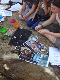 Auch in Landersdorf konnten zahlreiche Besucher*Innen von der Vorzeitkiste lernen