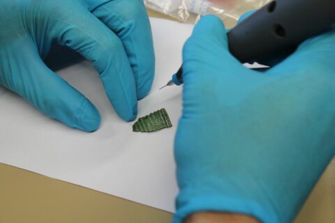 Entnahme des Probenmaterials mittels eines Bohrers.