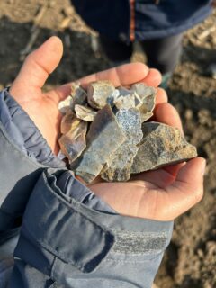 Fundplatzsuche 4: Wenn die Landwirtschaft das Holozän zerstört hat, kommt in Vâlcele „Pe Păşune“ immerhin noch etwas Paläolithikum an die Oberfläche.