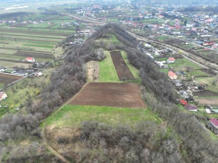 Piatra Şoimului: Auf der Spitze des Plateaus liegt die dakische Festung. Auf dem Rest liegt Cucuteni und Costeşti.