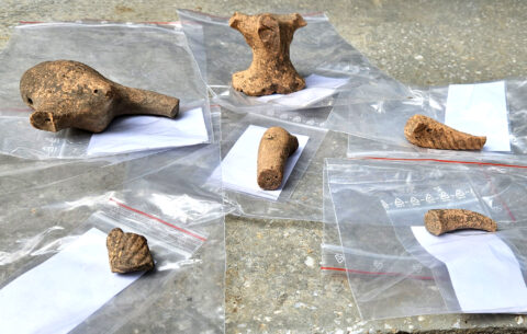 Sammelfunde eines Tages: Rinderprotomen und Statuettenfragmente.