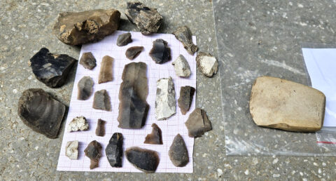 Sammelfunde eines Tages: Silexartefakte und Steinbeilklinge aus Felsgestein.