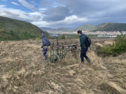 Hohes Gestrüpp verleidet einem das Arbeiten auf dem Masivul Bolovoaia. Im Hintergrund: Piatra Neamţ und die Karpaten.