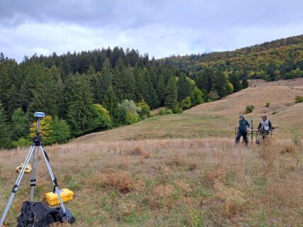 Auch die Vegetation in Piatra Neamţ 'Dealul Cozla' wirkt ziemlich alpin.