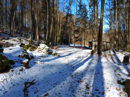 Fläche drei, die leider aufgrund der dichten Schneebedeckung auch nicht begangen werden konnte.