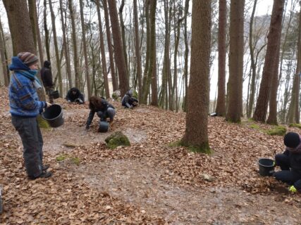 Studierende entfernen das oberflächige Laub.