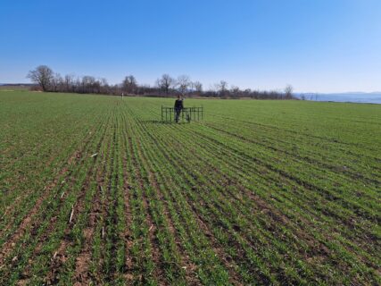 F. Popp ringt der Weite der Landschaft mit dem Gradiometer wissenschaftliche Information ab.