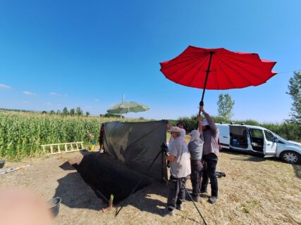 Fotografieren 4: Bei sonnigem Himmel ist fotografieren seit Anbeginn der Archäologie ziemlich kniffelig.