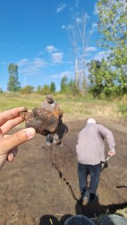 Funde 3: Typisch Cucuteni: Ein Rinderkopf mit Hörnern an einem Gefäßrand.
