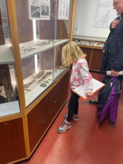 Bei der Kinderführung werden die Fundstücke in der Vitrine genau inspiziert (Foto: L. Bauer).